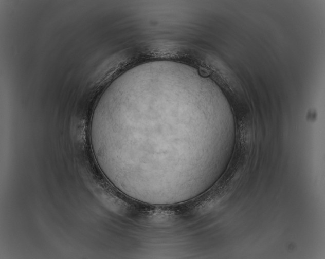 X0000090910549200708271006