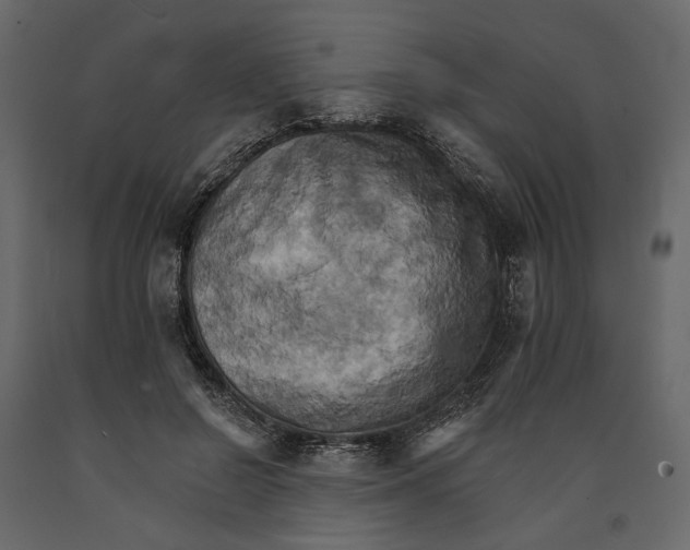 X0000090910550200708271006