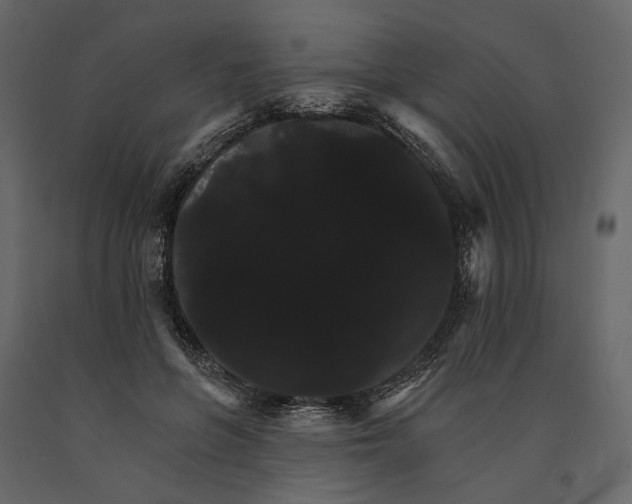 X0000090910551200708271006