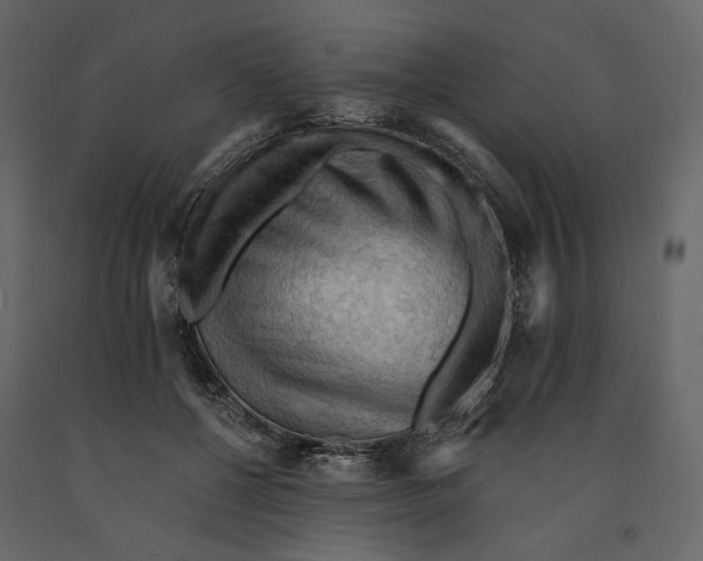 X0000090910552200708271006