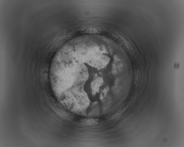 X0000090910553200708271006