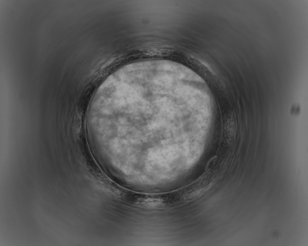 X0000090910554200708271007