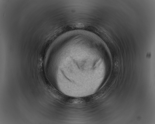 X0000090910555200708271007