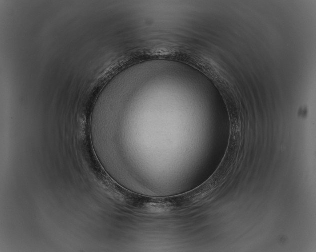 X0000090910556200708271007