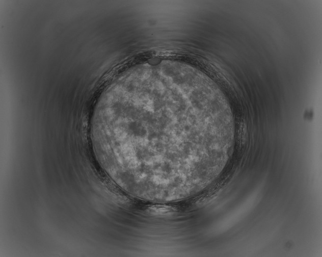 X0000090910557200708271007