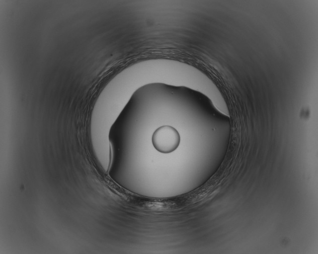 X0000090910558200708271007