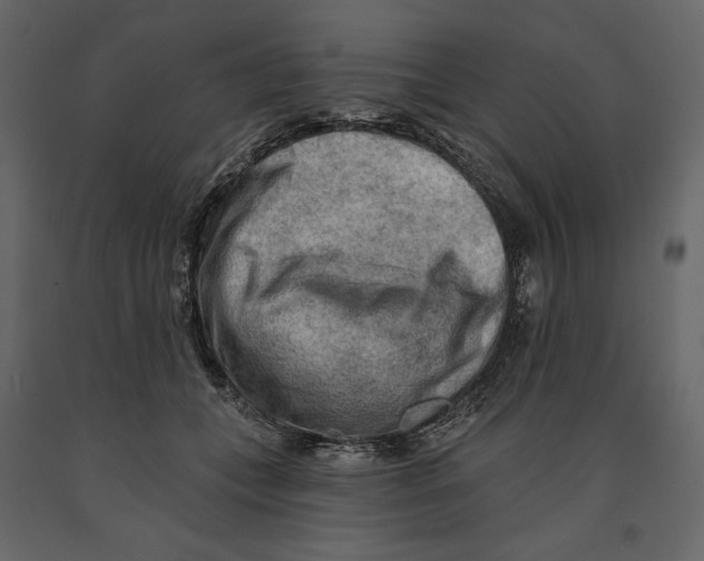 X0000090910559200708271007