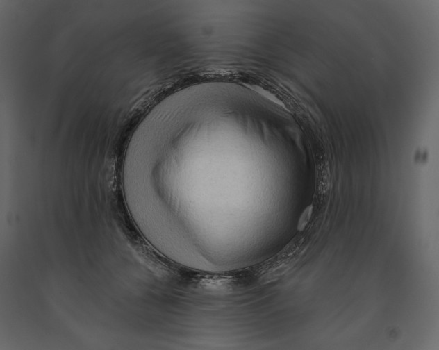 X0000090910560200708271007