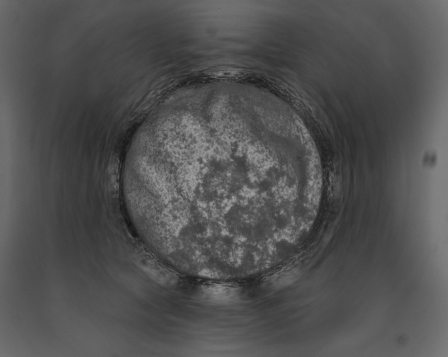 X0000090910561200708271007