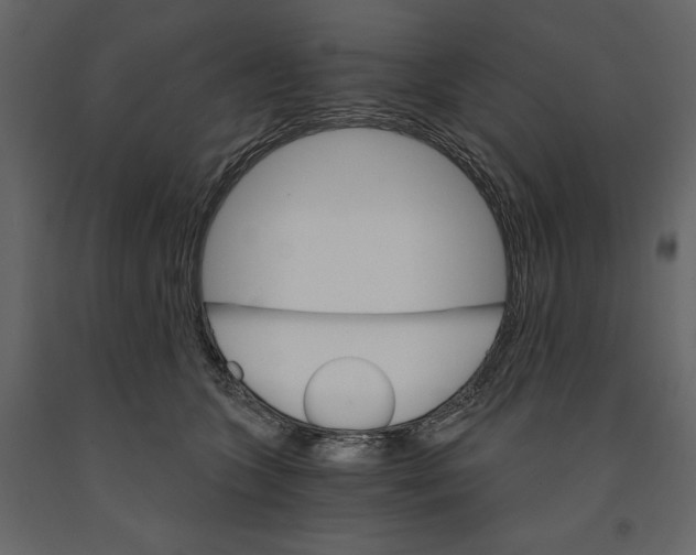 X0000090910563200708271007