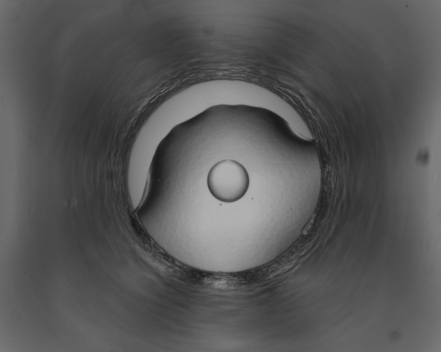 X0000090910564200708271007