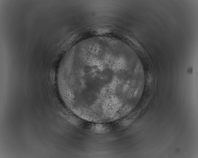 X0000090910565200708271007