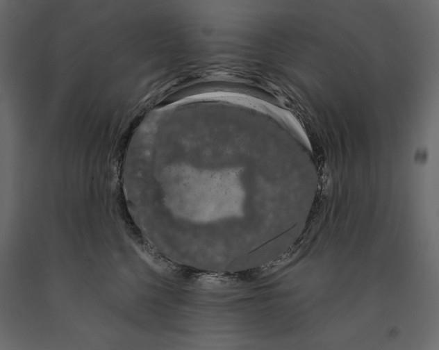 X0000090910568200708271007