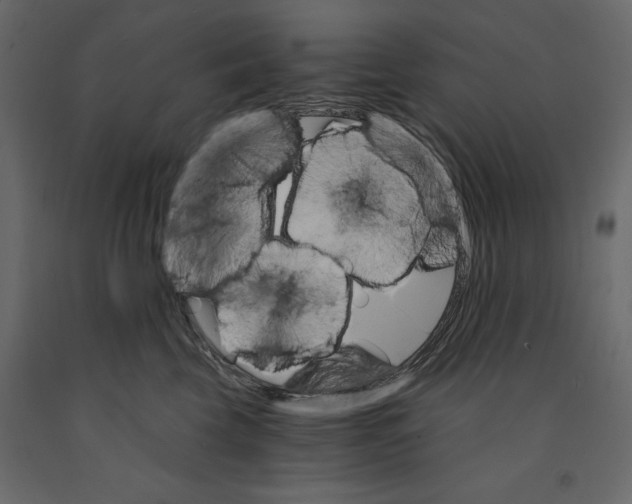 X0000090910569200708271007