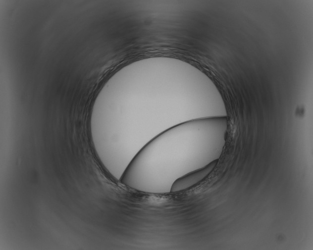 X0000090910570200708271007