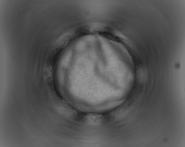 X0000090910571200708271007