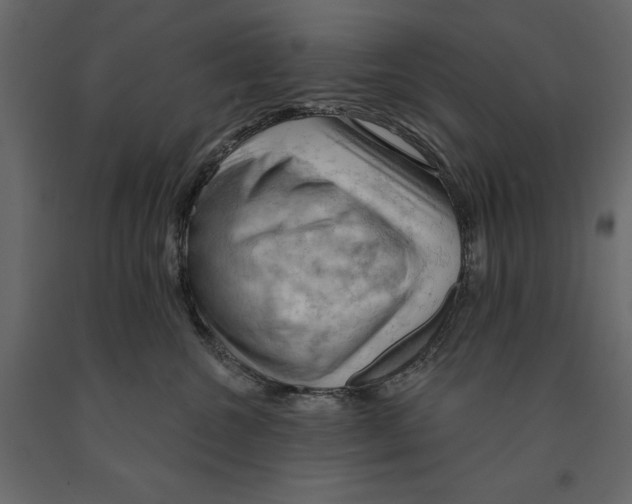 X0000090910572200708271007