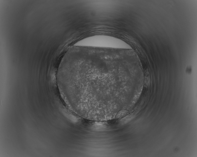 X0000090910573200708271007