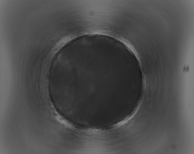 X0000090910577200708271006