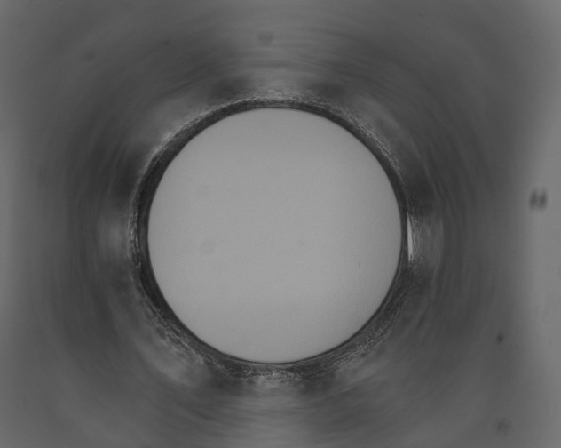 X0000090910579200708271006