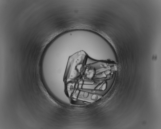 X0000090910581200708271006