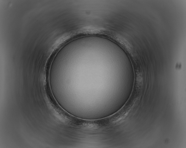 X0000090910582200708271006