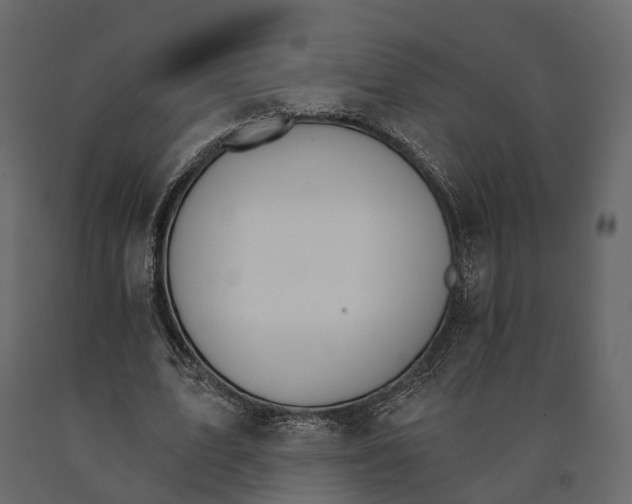 X0000090910583200708271006