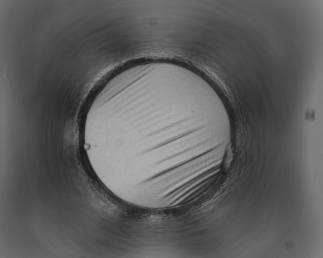 X0000090910584200708271006