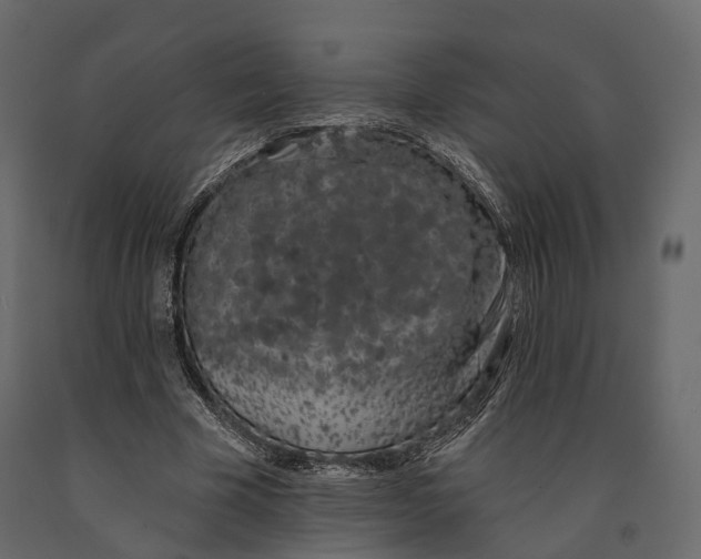 X0000090910585200708271006