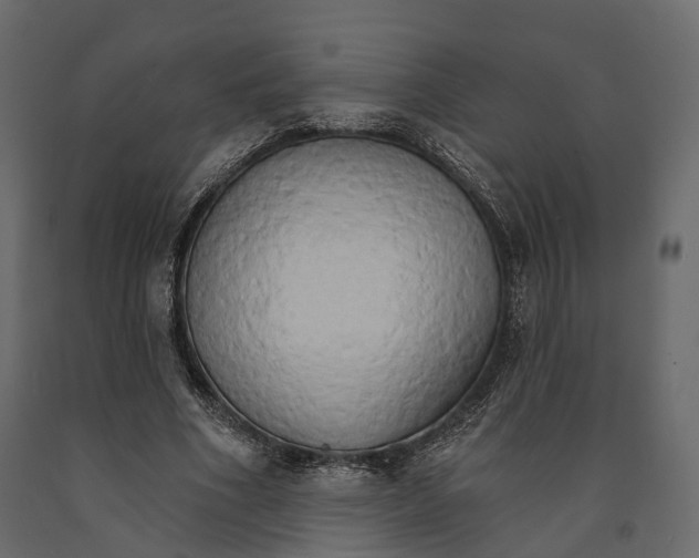 X0000090910586200708271006