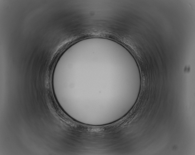 X0000090910587200708271006