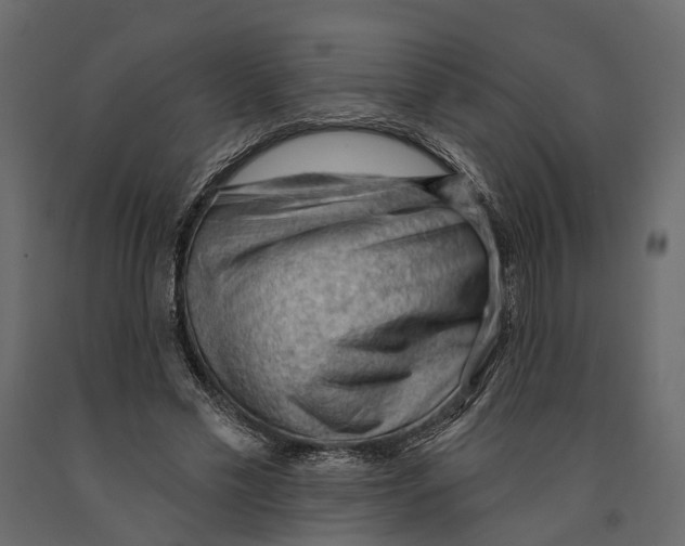 X0000090910589200708271006