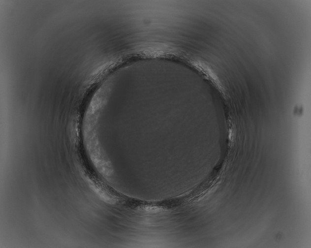 X0000090910590200708271006