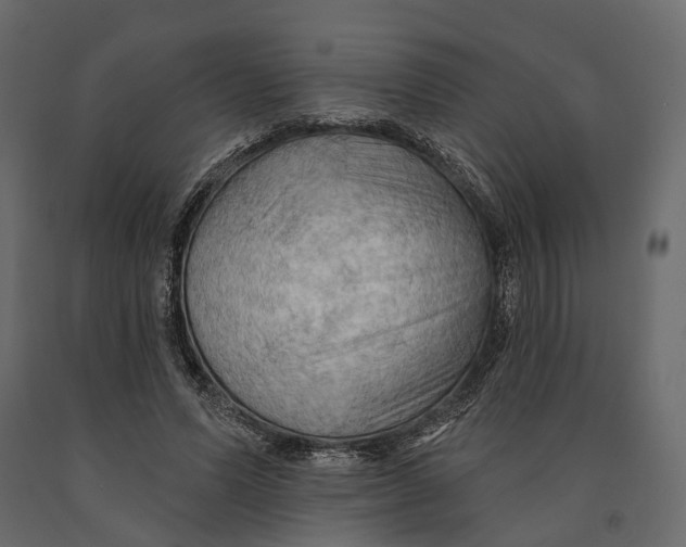 X0000090910591200708271006