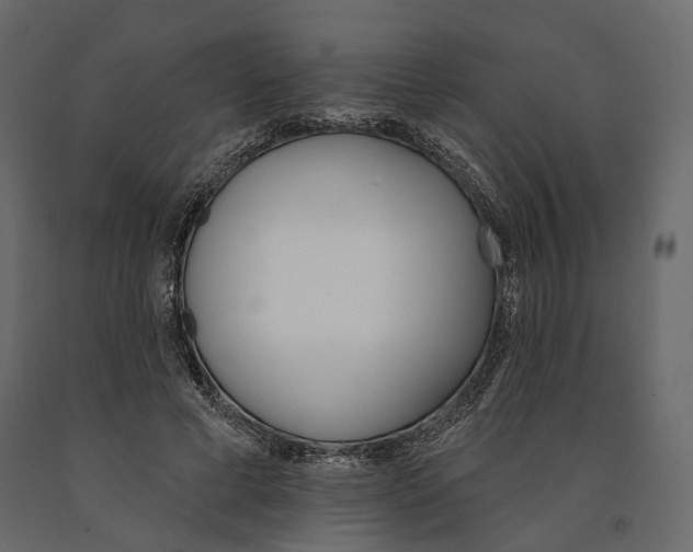 X0000090910593200708271006