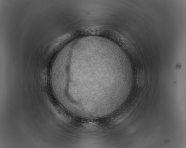 X0000090910594200708271006