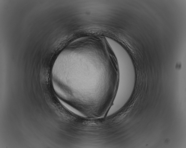 X0000090910597200708271006