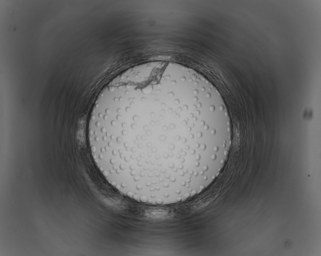 X0000090910598200708271006