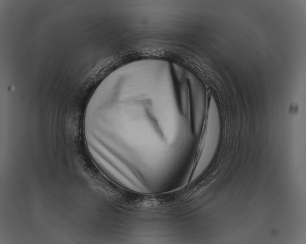 X0000090910600200708271006