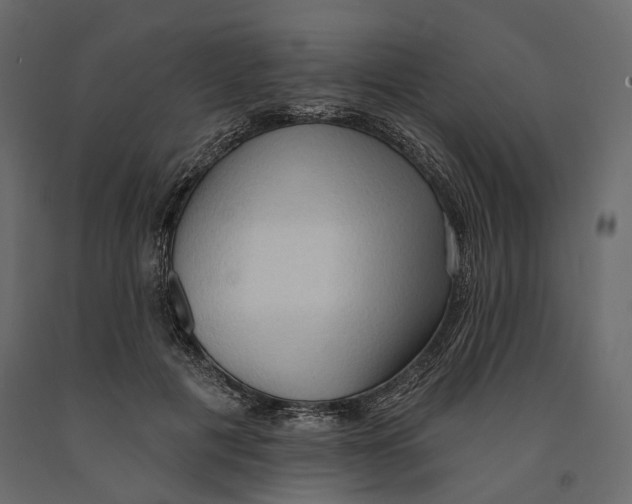 X0000090910601200708271006