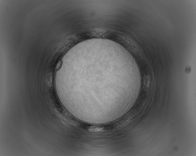 X0000090910602200708271006