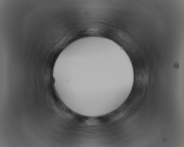 X0000090910603200708271006