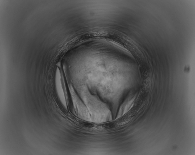 X0000090910604200708271006