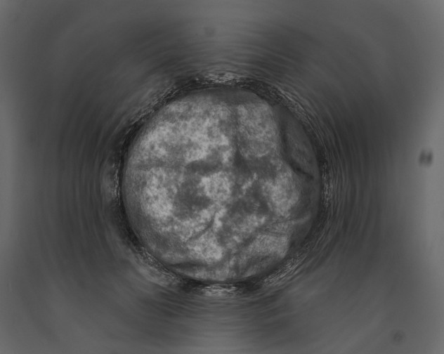 X0000090910606200708271006