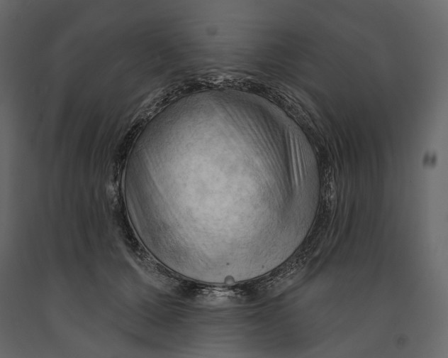 X0000090910607200708271006