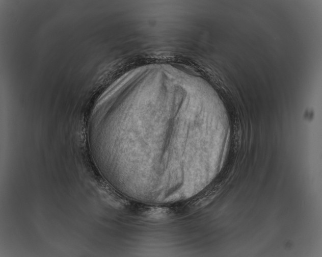 X0000090910609200708271006