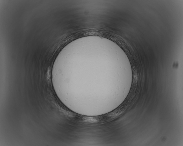 X0000090910610200708271006