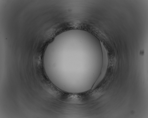 X0000090910611200708271006