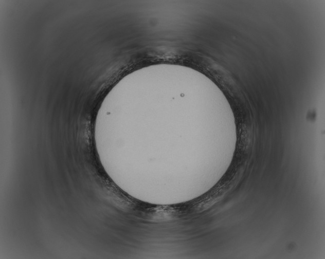 X0000090910612200708271006