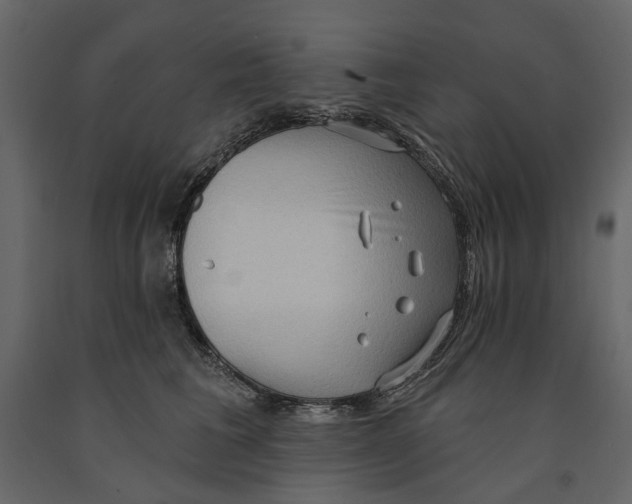 X0000090910613200708271006